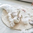 마음편한 집 이미지