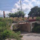 마을아뜰리에 뜻아트 | 대전 대청호 주변 이현동 마을 탐방: 촌캉스 시골풍경 추천 후기