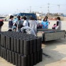 양양군청 이미지