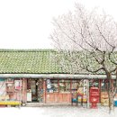 세월상회 이미지