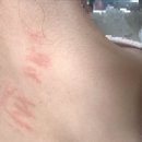 평촌고운세상피부과의원 이미지