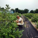 박현수농장 이미지