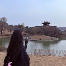 풍차갈비 | 수원 하얀풍차 본점 화이트롤 웨이팅, 남문통닭 갈비맛까지 야무지게