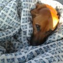 타이어세상 이미지