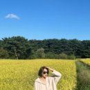 원두막집 민박 이미지