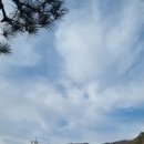 똑똑하개 이미지