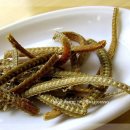 장수장어 이미지