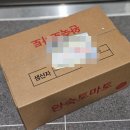 탐스럽고 신선한 GAP 완숙토마토 다이어트 간식, 아침대용 토마토스무디