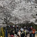 보문호반길 이미지