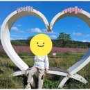 어르신기체조 | 법동주간보호센터 어르신을 위한 최우수 복지시설의 매력 탐방기