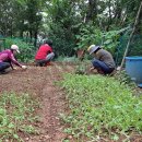 반송1동-6 이미지