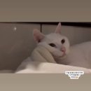 구룡포 사랑, 행복, 나눔 음악회 | 이지연 첫 번째 팬미팅 후기🍊 | 그런데 이제 사담이 꽉 끼는.. | 넘치는 사랑과 감동..🥹🧡 그리고 주접