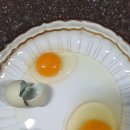 채율농장 이미지