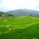 지리산숲길 이미지