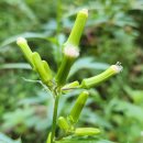 거제 해안거님길 남파랑길 20코스 이미지