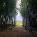 상진목장 이미지