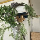 파도바 바다풍경 이미지