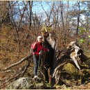 독바위로 이미지