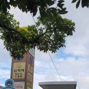 수영강 동천교 이미지