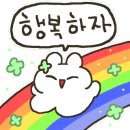 데이지밀