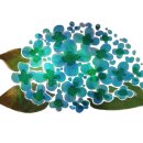 림스토리 이미지