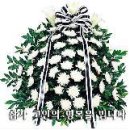 고대1114 이미지