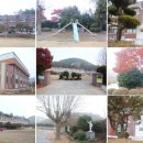 금당중학교 옆 이미지