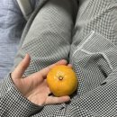 매곡로,다사로 이미지