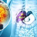 평촌대형약국 이미지