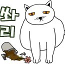 서호약국 네이버블로그