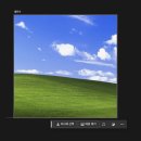 울랄라피씨 이미지