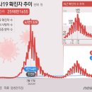 여름 유행 수준이라지만…전문가들 "7차 유행, 국민 인식·﻿면역 관건" 이미지