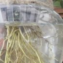 평화1동 주민센터 이미지