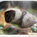 [임실맛집] 58년 전통 개미집/3대 전통 피순대국밥 이미지