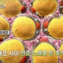 우리동네다이어트