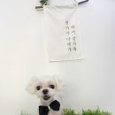 공주미장원 이미지