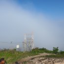 봉곡하와이 이미지