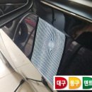 덴트LEE