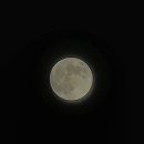 수족관222