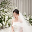네스트웨딩홀
