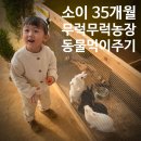 신상농장 2 이미지