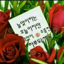 희망의아침 Daum카페