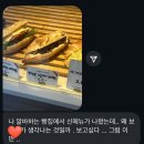 사우스사계 | #25. 입사전 마지막 일기