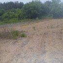 위브탑공인중개사사무소 이미지