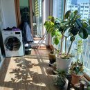 주영에이스빌2차 이미지