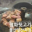김해뒷고기식당 | [울산 동구 식당]평화김해뒷고기 일산지점 솔직후기, 주차, 합리적인 가격