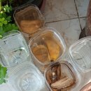 노랑퍼피 이미지