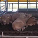 동훈농장 이미지