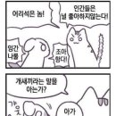 오늘도 댕댕이 이미지