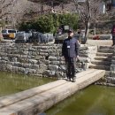 해미-비상-3 이미지